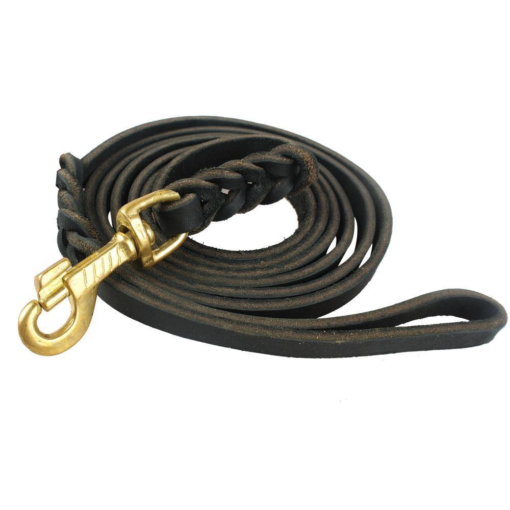 Leather Braided Dog Leash - Lovepawz