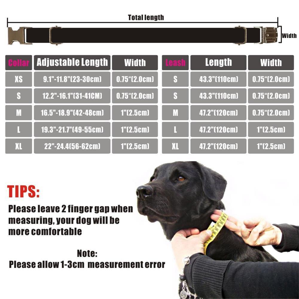 Personalized Alien Monster Collar - Lovepawz