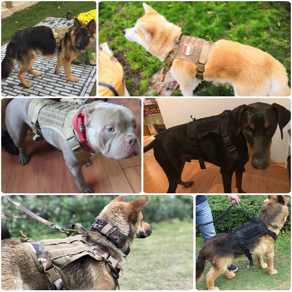 AntiPullsta-Tug Free Dog Harness - Lovepawz