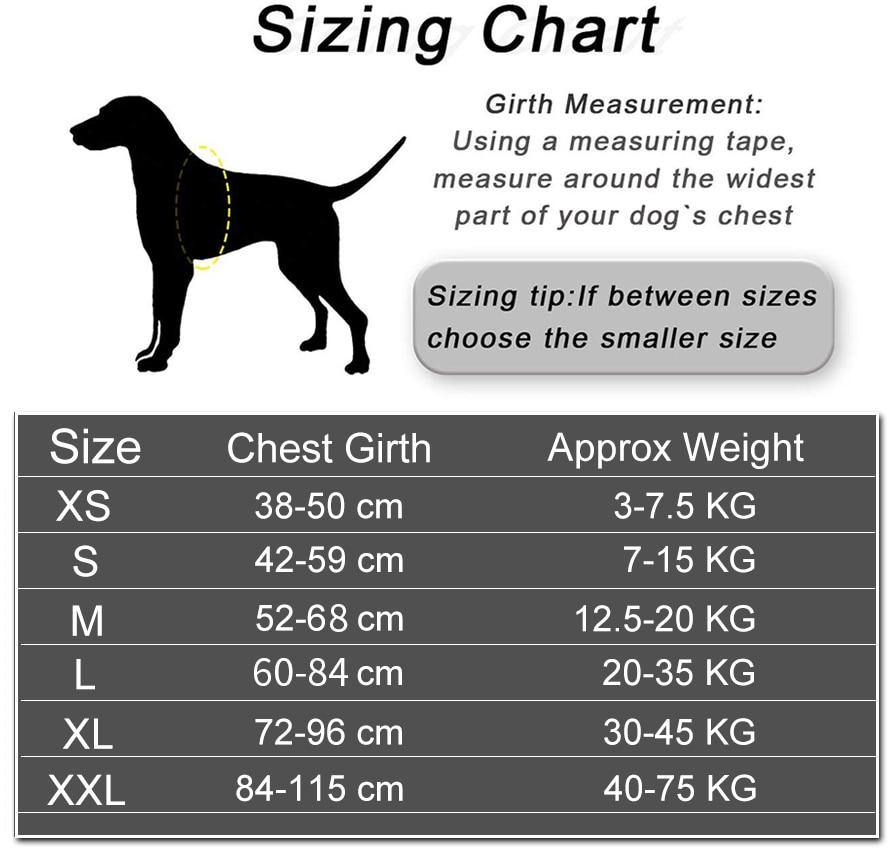 Strap'n'walk Custom Dog Harness - Lovepawz