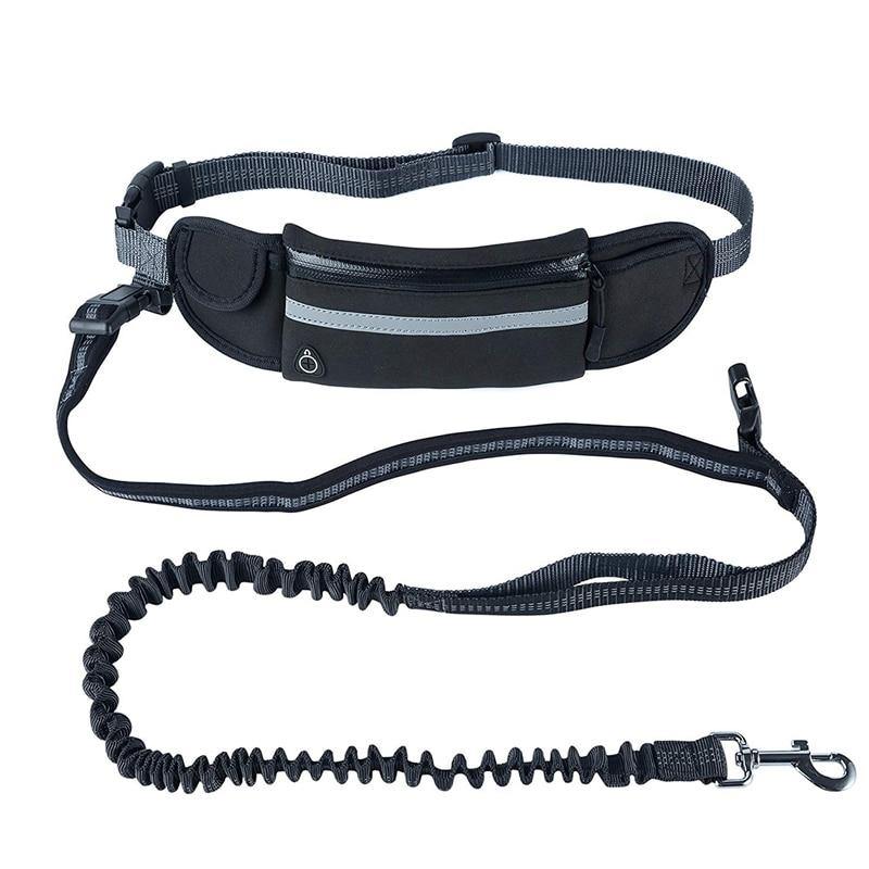 Dog Traction Waist Leash - Lovepawz