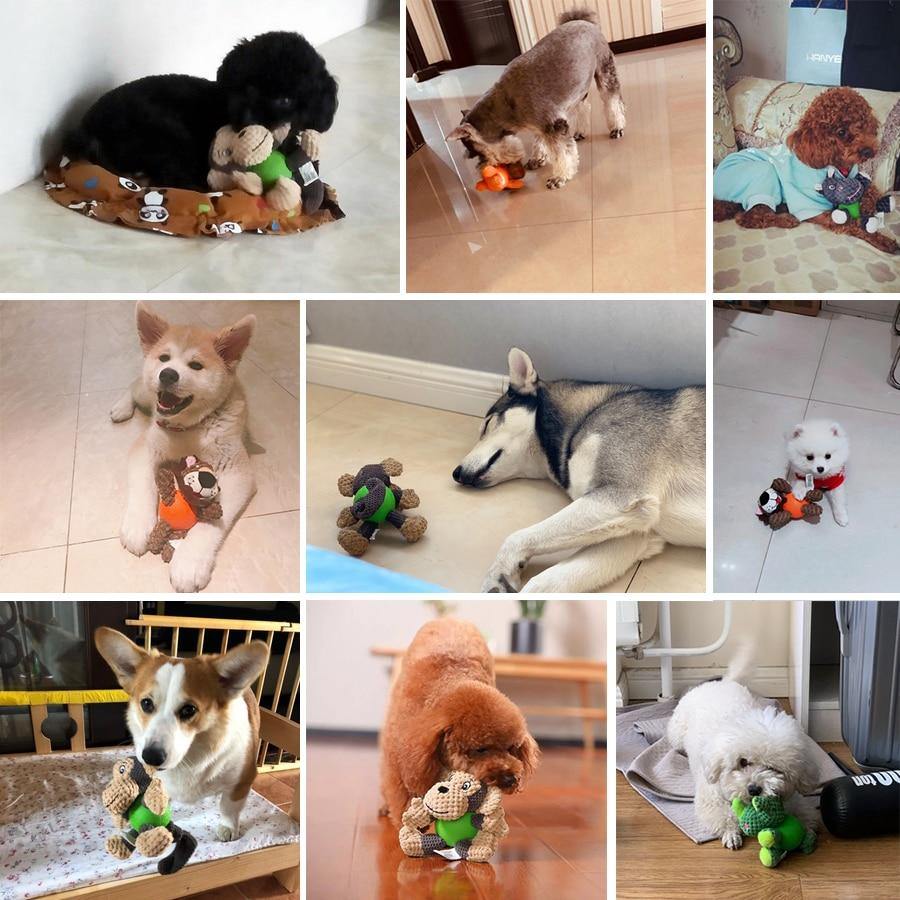 Squeaky Packers - Lovepawz