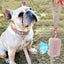 Fabric Soft N Collar Full Set - Lovepawz