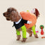 Funny Dog Pumpkin Costume - Lovepawz