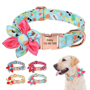 Fruit Floral Personalized Collar - Lovepawz