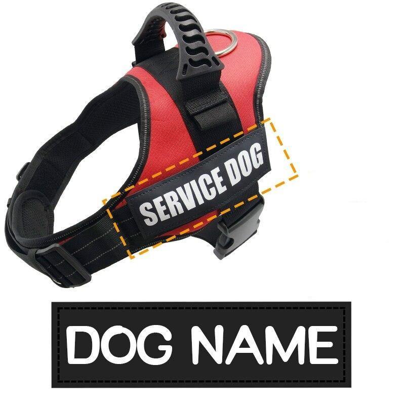 Custom Paw Sticker Labels - Lovepawz