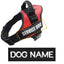 Custom Paw Sticker Labels - Lovepawz