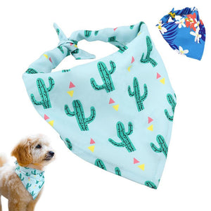 The Desert Bandanas - Lovepawz