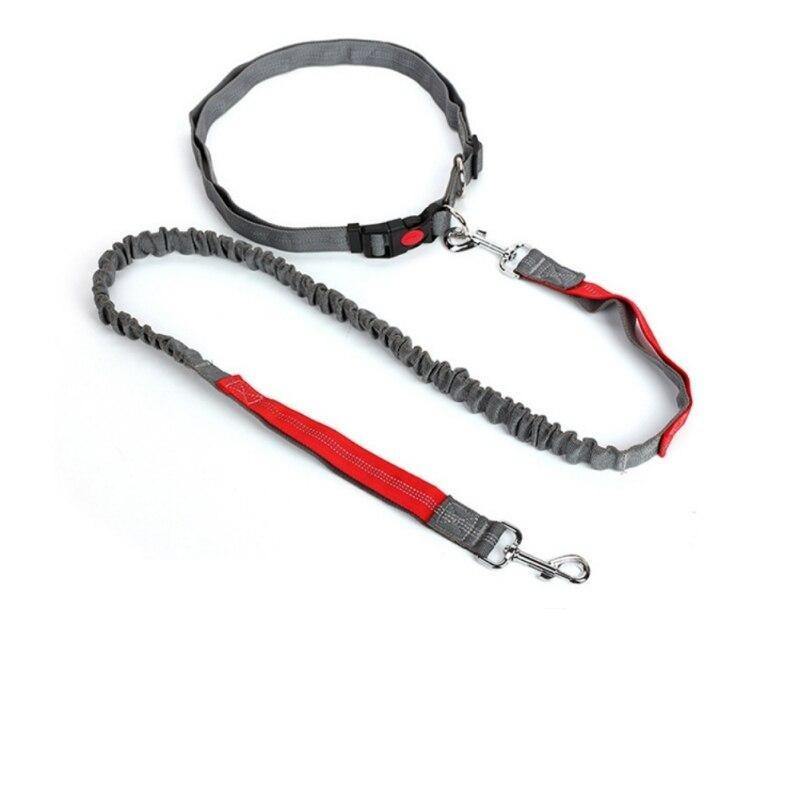 Elastic Breakaway Hand Free Waist leash - Lovepawz