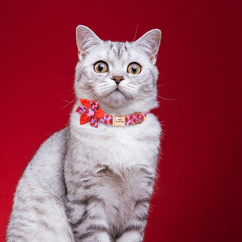 Fruit Floral Personalized Collar - Lovepawz