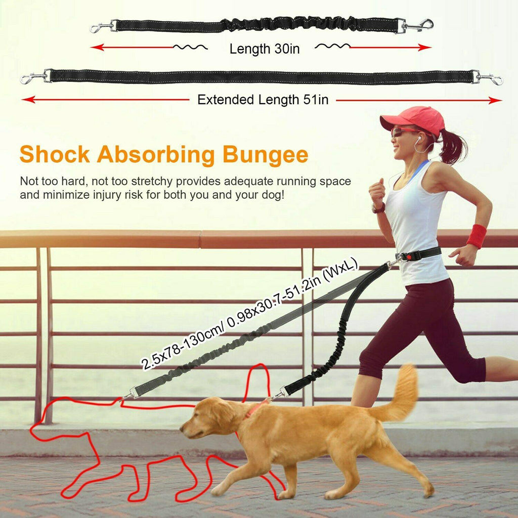 Adjustable Hands Free Leash - Lovepawz