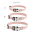 Customized Flower Collar - Lovepawz