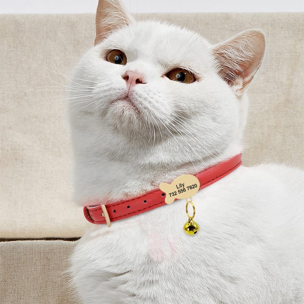 Cute Personalized BellFish Collar - Lovepawz