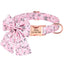 Personalized FruityBow Collar - Lovepawz