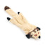 Soft Plush Animal Chew Toys - Lovepawz