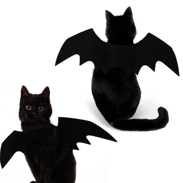 Cat clearance bat costume