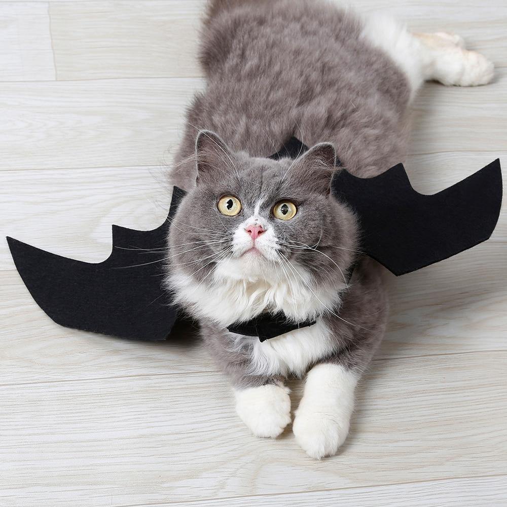 Scary Cat Bat Costume - Lovepawz