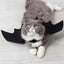 Scary Cat Bat Costume - Lovepawz