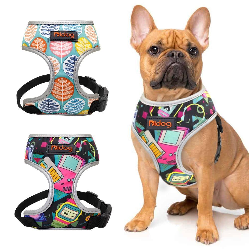 Didog Printed Harness - Lovepawz