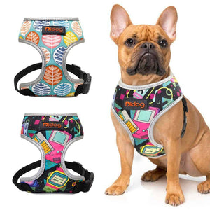 Didog Printed Harness - Lovepawz