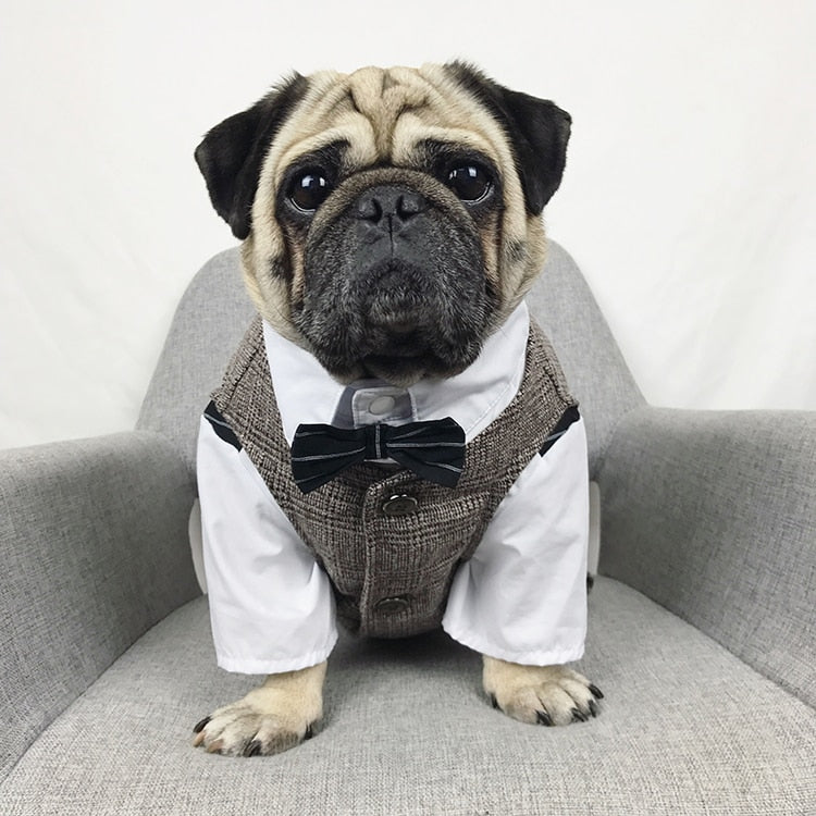 Dog Wedding Party Suit Tuxedo Coat Costume - Lovepawz