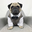 Dog Wedding Party Suit Tuxedo Coat Costume - Lovepawz