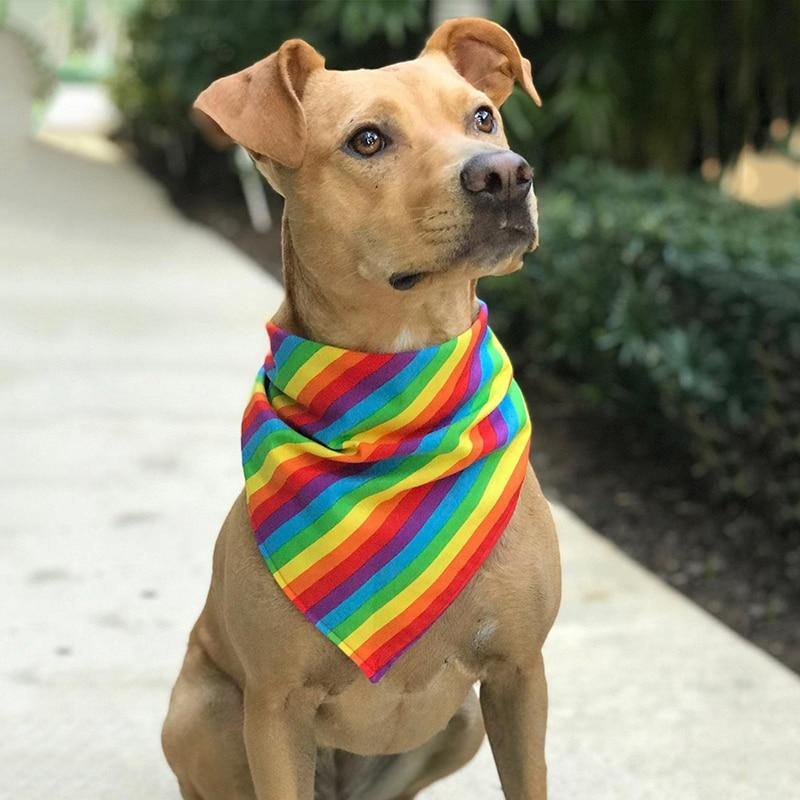 Rainbow Style Dog Bandana Scarf - Lovepawz