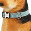Customized Flower Collar - Lovepawz
