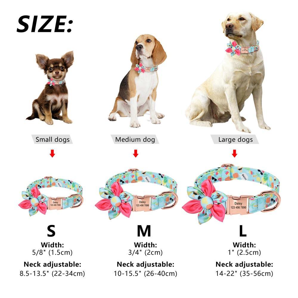 Fruit Floral Personalized Collar - Lovepawz