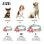 Fruit Floral Personalized Collar - Lovepawz