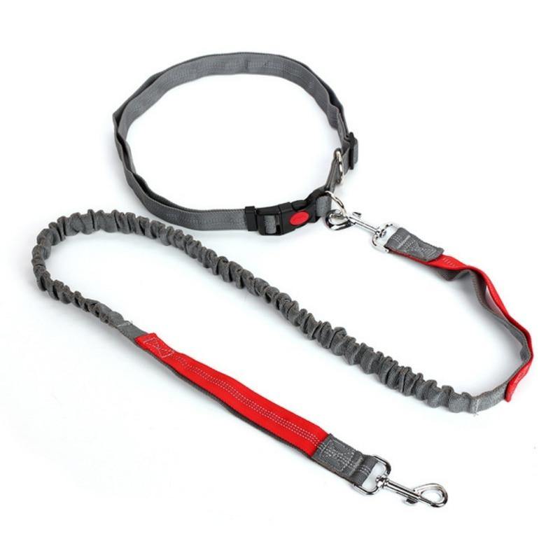 Elastic Breakaway Hand Free Waist leash - Lovepawz