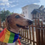 Rainbow Style Dog Bandana Scarf - Lovepawz