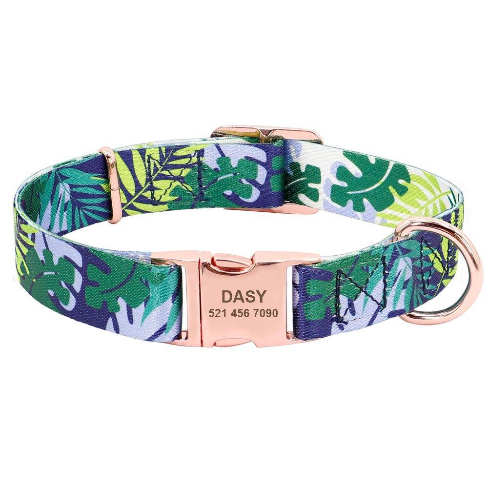 Springing Personalized Collar - Lovepawz