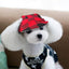 Plaid Summer Dog Baseball Cap - Lovepawz