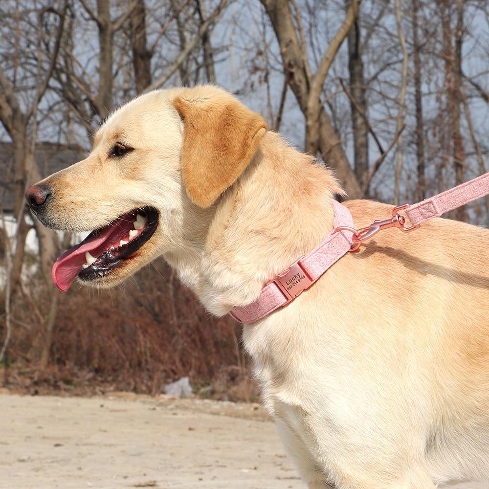 Fabric Soft Collar N Leash Set - Lovepawz