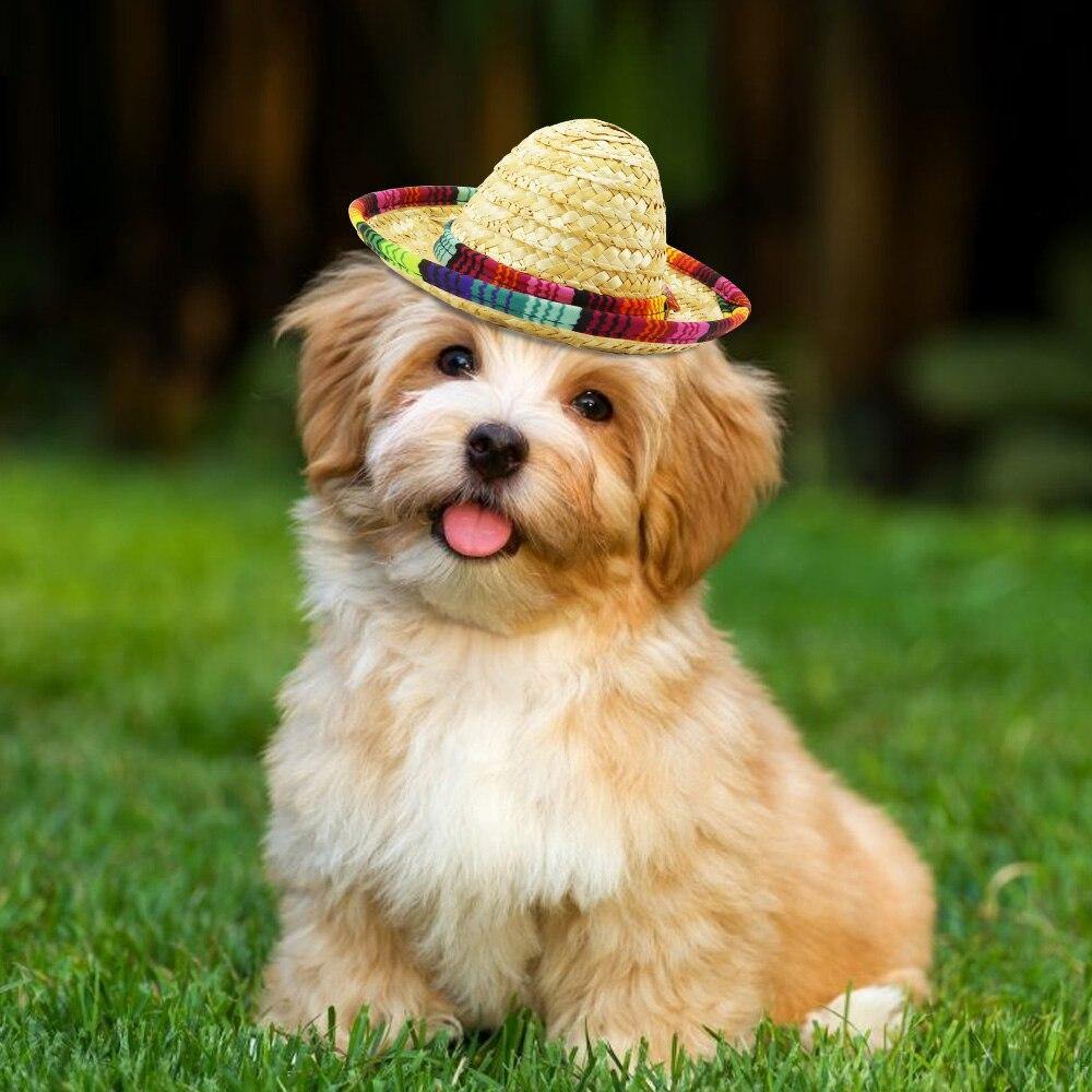 Cute Mini Sombrero Hat - Lovepawz