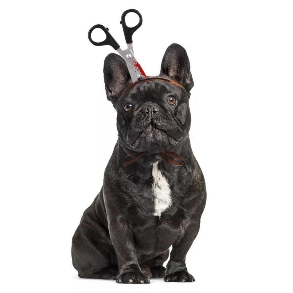 Halloween Dog Cat Horror Headband - Lovepawz