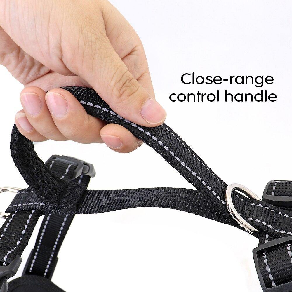 Nylon Quick Control Harness - Lovepawz