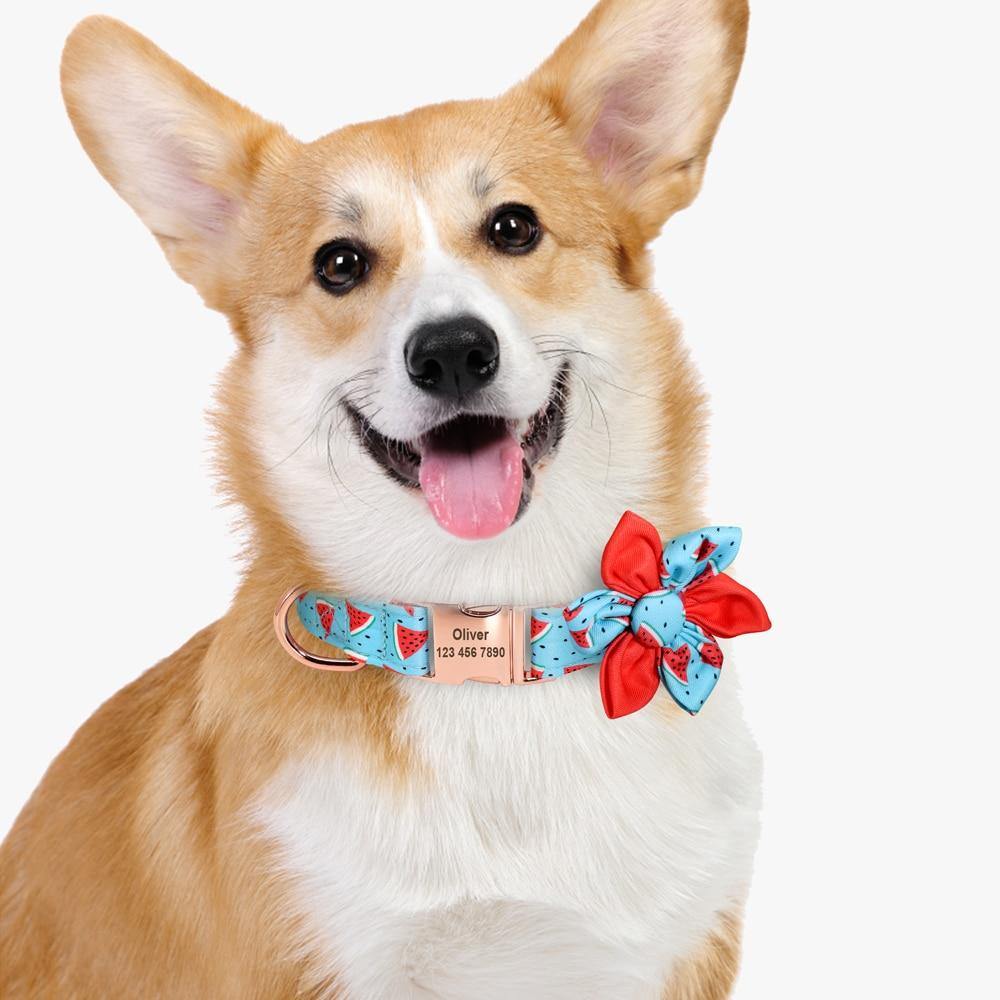 Fruit Floral Personalized Collar - Lovepawz