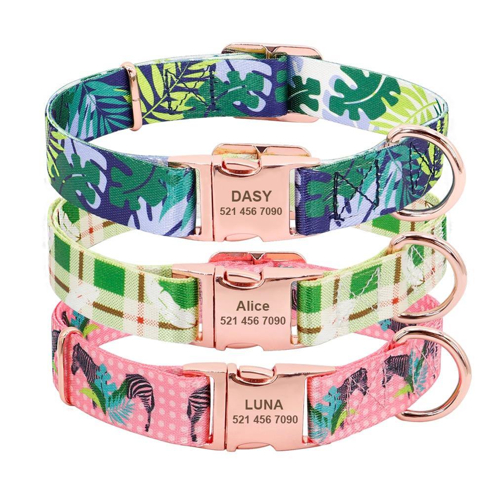 Springing Personalized Collar - Lovepawz