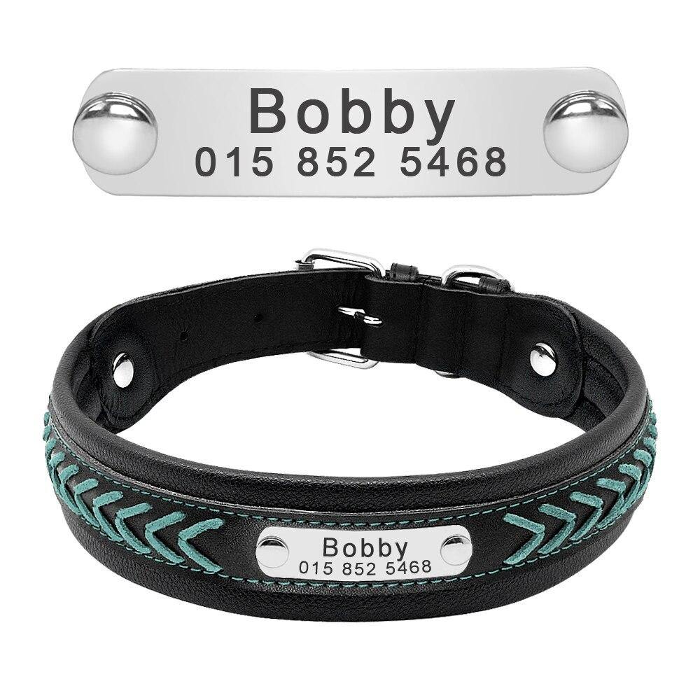 Bold Collar - Lovepawz