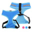 Custom Personalized Dog Harness - Lovepawz