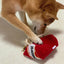 Dogs Snuffle Noodle Toys - Lovepawz
