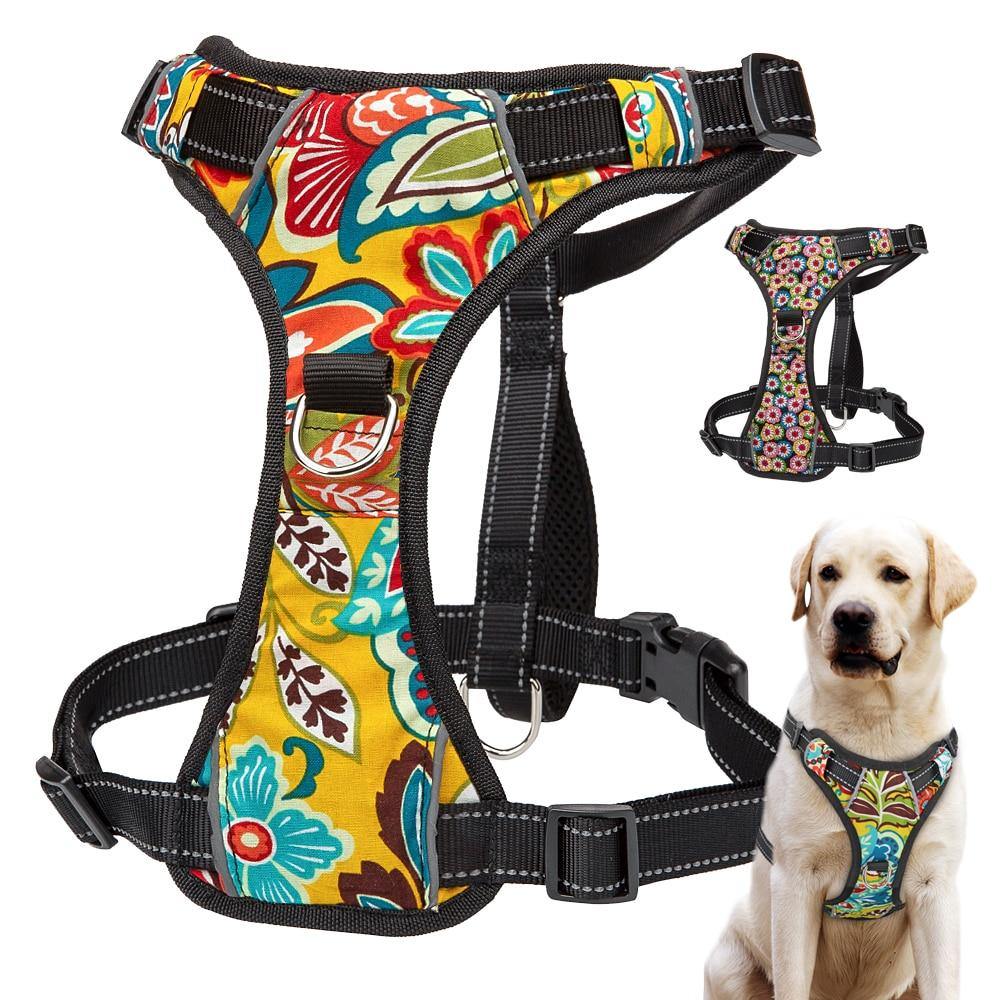 Nylon Quick Control Harness - Lovepawz