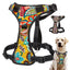 Nylon Quick Control Harness - Lovepawz