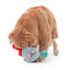 Ice Cream Toy Dog Plush Set - Lovepawz