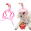 Lace Dog Hat Cap Pet Headwear Hats with Ear Holes Cute Straw Design - Lovepawz