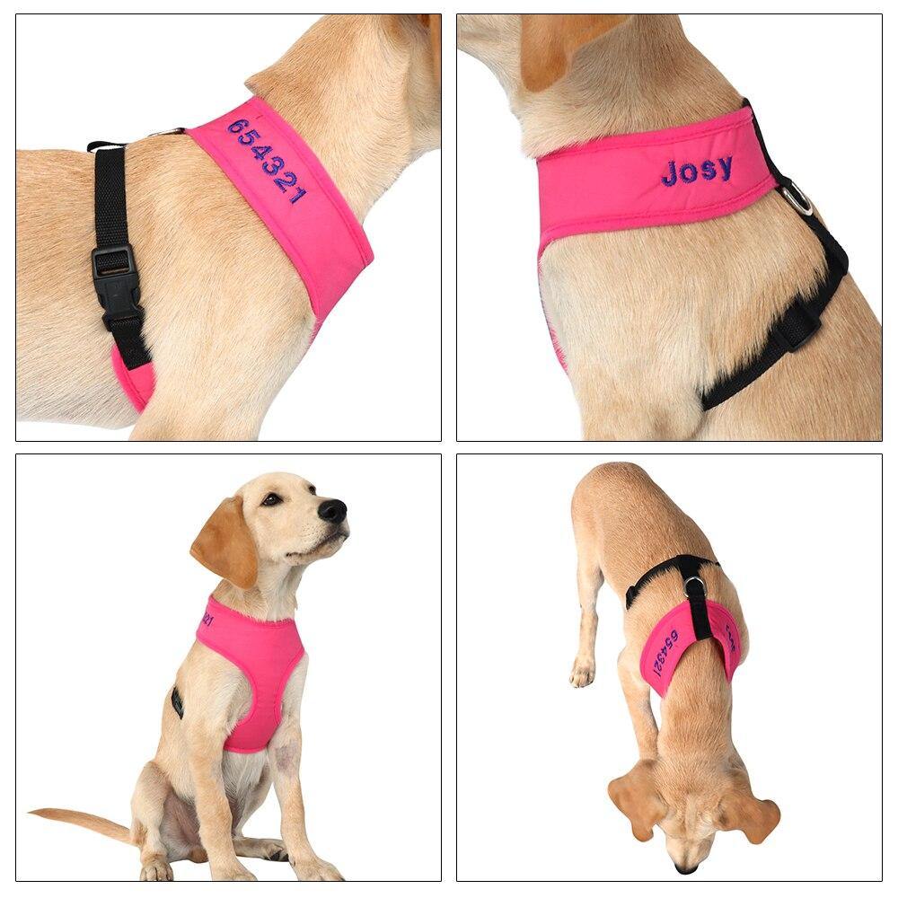 Custom Personalized Dog Harness - Lovepawz