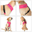 Custom Personalized Dog Harness - Lovepawz