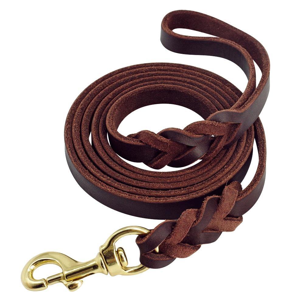 Leather Braided Dog Leash - Lovepawz